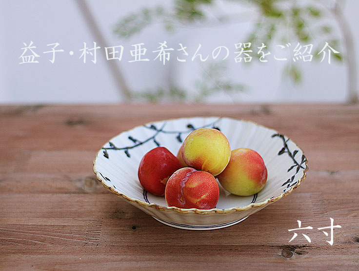 益子の村田亜希さんの器が届きました